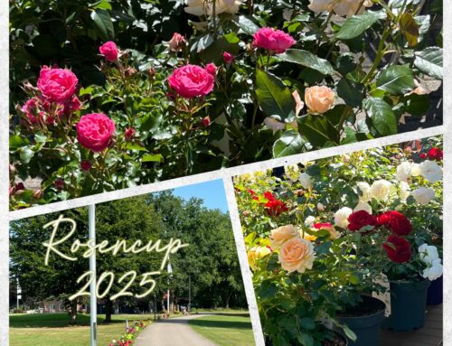 Rosencup 2025 – Das Highlight des Jahres für die Damen