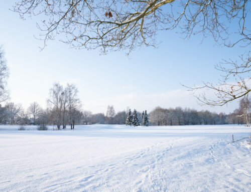 Winterruhe auf dem Golfplatz